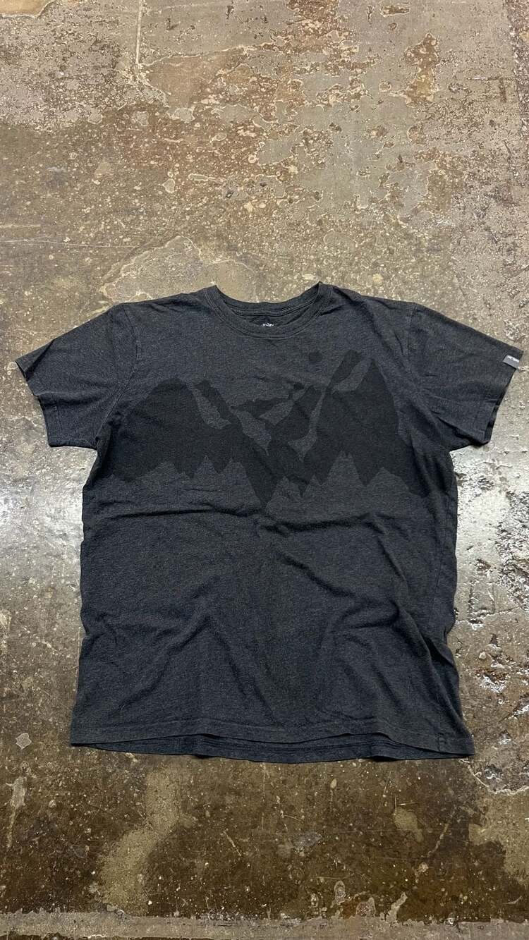Arc'teryx Graphic T-Shirt Dark Gray Mountain Logo